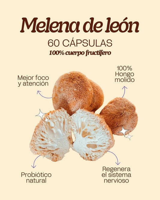 Melena de León Concentrada